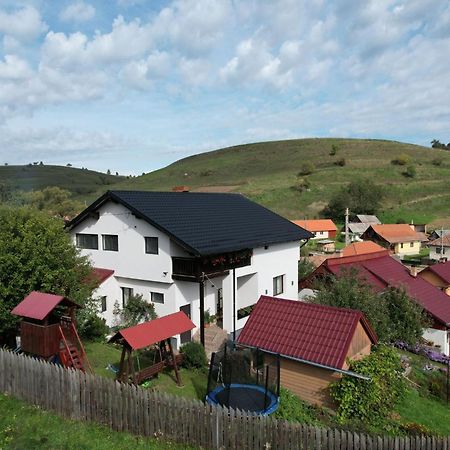 Cazare La Mitica Subcetate  Eksteriør billede